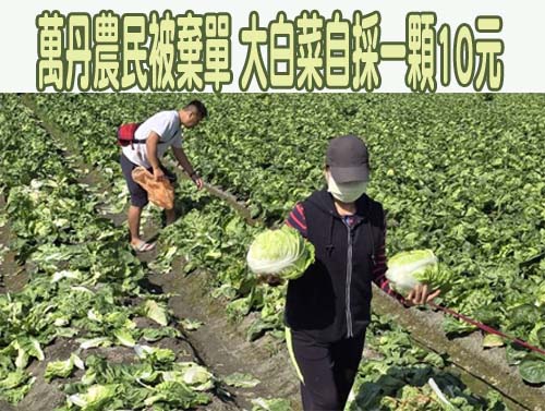 民進黨屏東縣基層選舉70人登記 政黨影響力有限