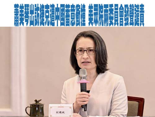 蕭美琴出訪捷克遭中國蓄意衝撞 美眾院兩委員會發聲譴責