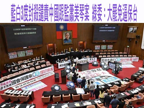 蕭美琴訪捷克遭威脅事件 藍白四度否決綠營譴責中國提案
