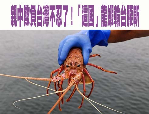  2萬箱流全台！芥花油假冒高檔義大利橄欖油牟利 黑心商交保畫面也曝光