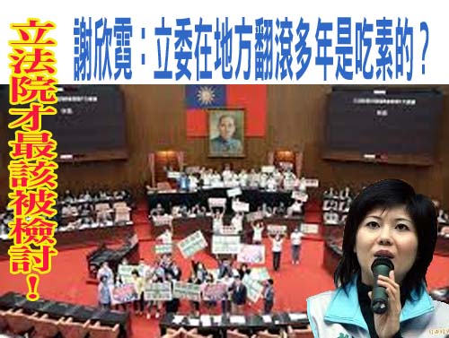 立法院才最該被檢討！ 謝欣霓：立委在地方翻滾多年是吃素的？
