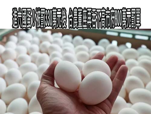 民眾聞「蛋」色變？產地標示恐有問題 消基會：主管機關須加強抽查