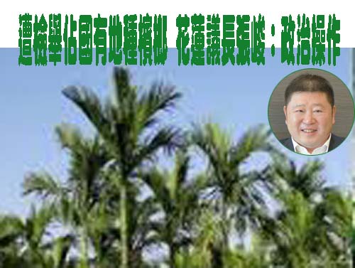 被檢舉竊占國有地種檳榔昨遭約談 花蓮縣議長：藏鏡人打壓