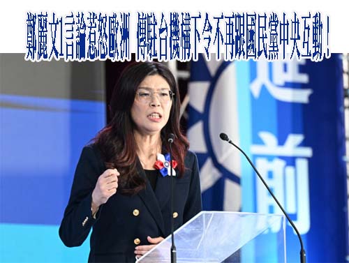 鄭麗文1言論惹怒歐洲 傳駐台機構下令不再跟國民黨中央互動！