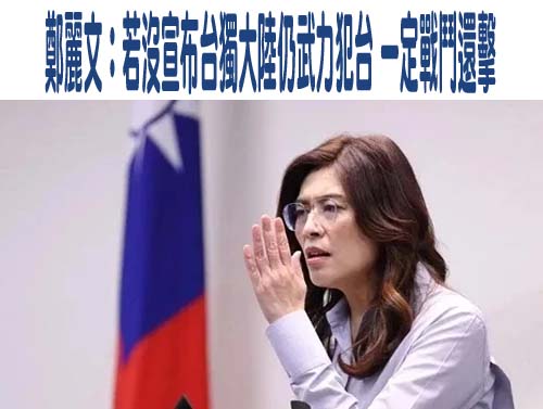 鄭麗文：若沒宣布台獨大陸仍武力犯台 一定戰鬥還擊