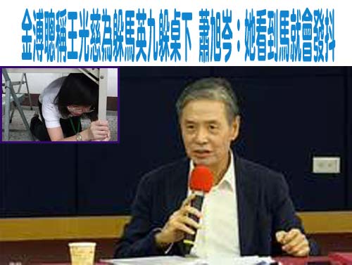 嫌馬英九「亂鬧」？ 李艷秋稱鄭麗文「輕蔑又輕浮」無最大黨主席格局
