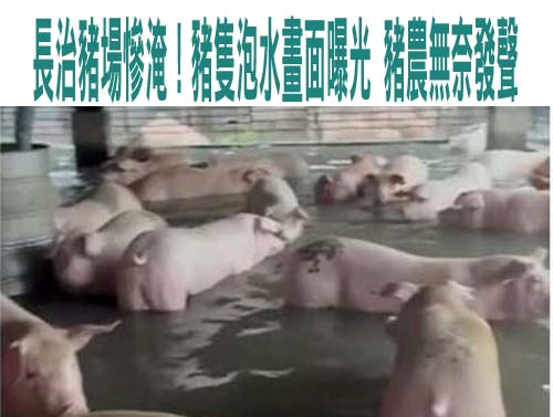 屏東超大豪雨釀積淹水！周春米曝下午2點才停班課原因