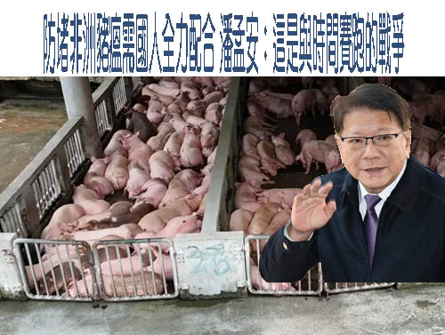 屏東養豬戶籲政府要有決心正視廚餘 否則豬瘟不會是最後一次