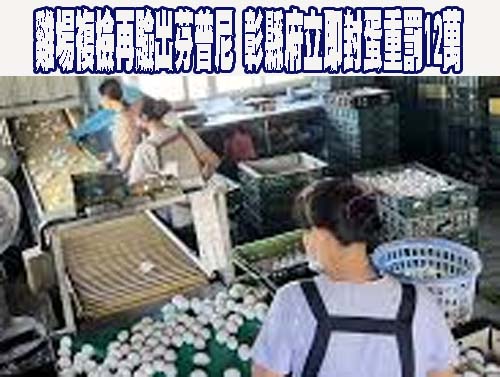 芬普尼蛋雞場複檢再驗出芬普尼 彰縣府立即封蛋重罰12萬