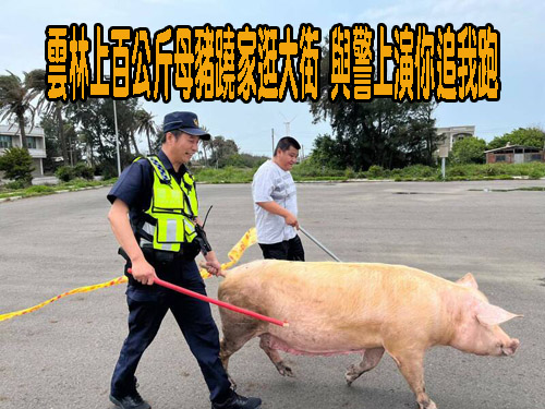 台中市警局爆貪汙 少年隊2偵查佐詐領刑事辦案工作費10萬交保