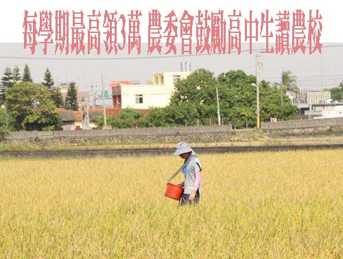 桃園校園霸凌 國二女遭恐嚇「經過就打」姐Po網求救