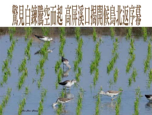 屏縣環保局春節稽查不打烊 查獲10件違規