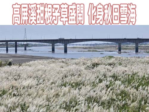 美麗天際線！屏縣推動桿線地下化 總長近180公里