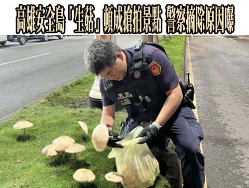 天氣漸好轉 今留意高溫午後雷陣雨 周四立秋全台酷暑炎熱